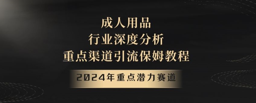 2024年重点潜力赛道，成人用品行业深度分析，重点渠道引流保姆教程【揭秘】-云帆学社