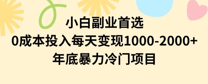 小白副业首选，0成本投入，每天变现1000-2000年底暴力冷门项目【揭秘】-云帆学社