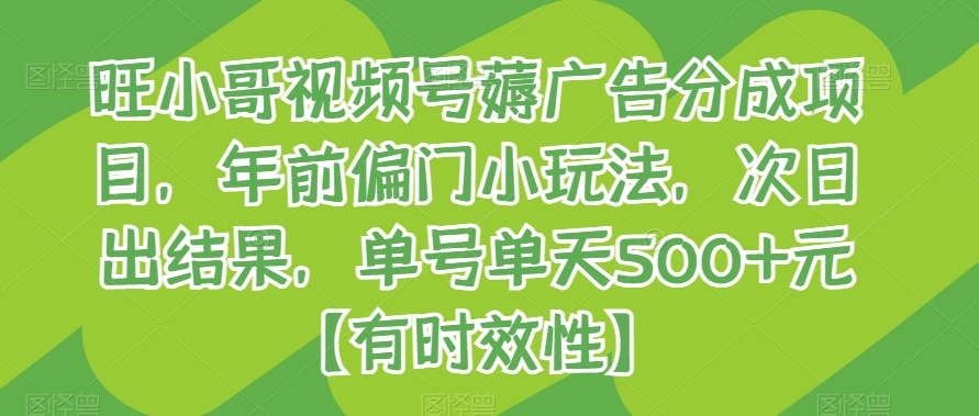 旺小哥视频号薅广告分成项目，年前偏门小玩法，次日出结果，单号单天500+元【有时效性】-云帆学社