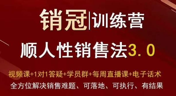 爆款！销冠训练营3.0之顺人性销售法，全方位解决销售难题、可落地、可执行、有结果-云帆学社