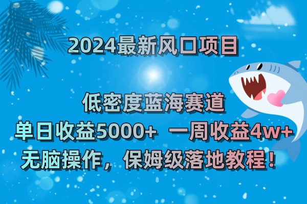 （8545期）2024最新风口项目 低密度蓝海赛道，日收益5000+周收益4w+ 无脑操作，保…-云帆学社