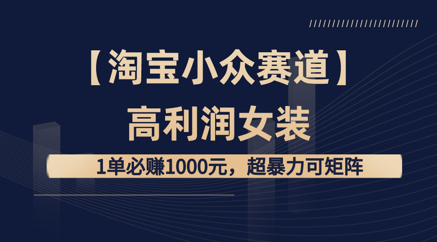 （8608期）【淘宝小众赛道】高利润女装：1单必赚1000元，超暴力可矩阵-云帆学社