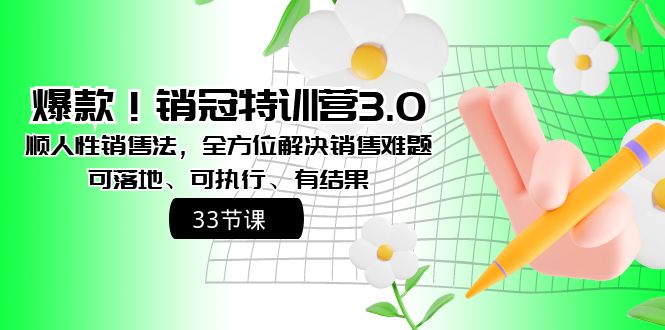 （8573期）爆款！销冠特训营3.0之顺人性销售法，全方位解决销售难题、可落地、可执…-云帆学社