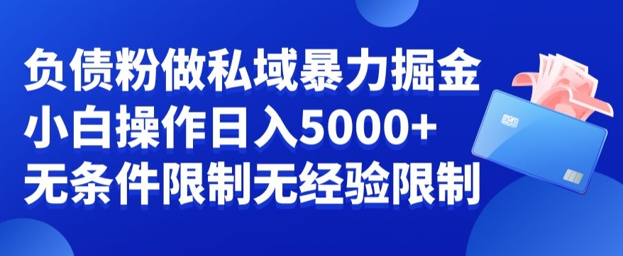 负债粉私域暴力掘金，小白操作入5000，无经验限制，无条件限制-云帆学社