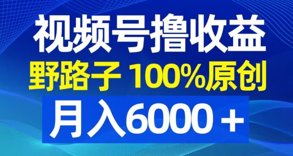 视频号野路子撸收益，100%原创，条条爆款，月入6000＋-云帆学社