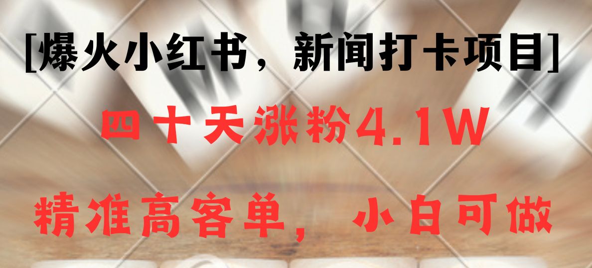 新闻打卡项目，小红书40天涨粉4.1w，高客单精准粉，变现能力超强-云帆学社