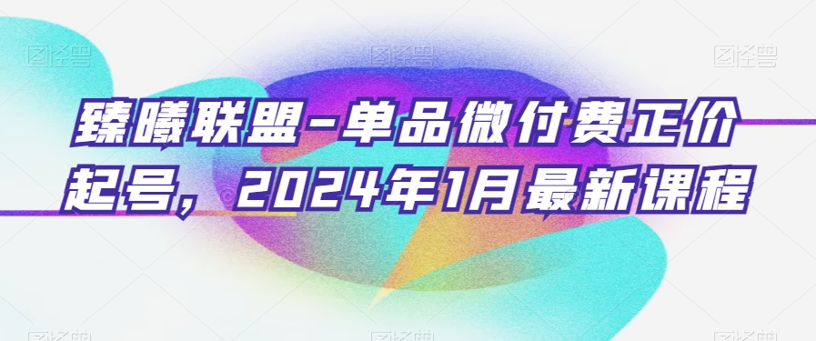 臻曦联盟-单品微付费正价起号，2024年1月最新课程-云帆学社