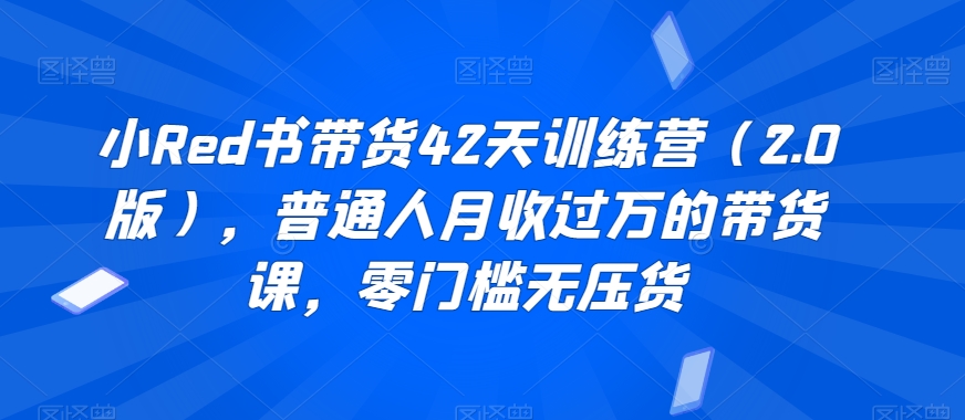 小Red书带货42天训练营（2.0版），普通人月收过万的带货课，零门槛无压货-云帆学社