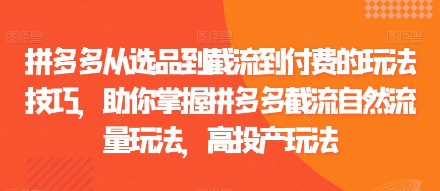 拼多多从选品到截流到付费的玩法技巧，助你掌握拼多多截流自然流量玩法，高投产玩法-云帆学社