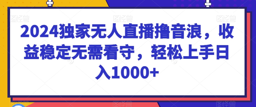 2024独家无人直播撸音浪，收益稳定无需看守，轻松上手日入1000+-云帆学社