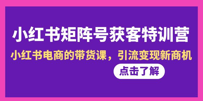 （8909期）小红书-矩阵号获客特训营-第10期，小红书电商的带货课，引流变现新商机-云帆学社