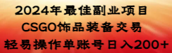 （8941期）2024年最佳副业项目 CSGO饰品装备交易 轻易操作单账号日入200+-云帆学社