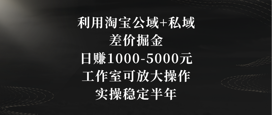 （8952期）利用淘宝公域+私域差价掘金，日赚1000-5000元，工作室可放大操作，实操…-云帆学社