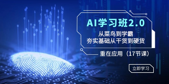 AI学习班2.0：从菜鸟到学霸，夯实基础从干货到硬货，重在应用（17节课）-云帆学社