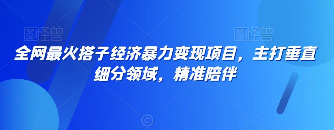 全网最火搭子经济暴力变现项目，主打垂直细分领域，精准陪伴-云帆学社