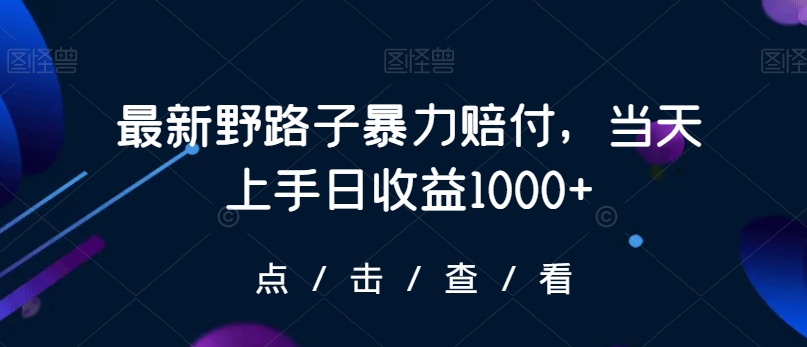 最新野路子暴力赔付，当天上手日收益1000+【仅揭秘】-云帆学社