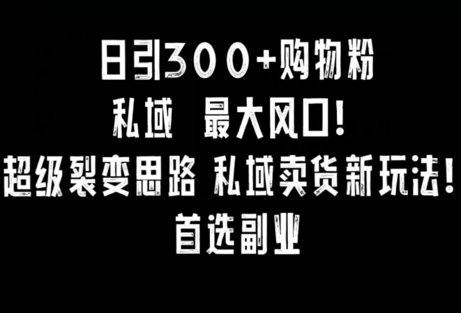 日引300+购物粉，超级裂变思路，私域卖货新玩法，小红书首选副业-云帆学社