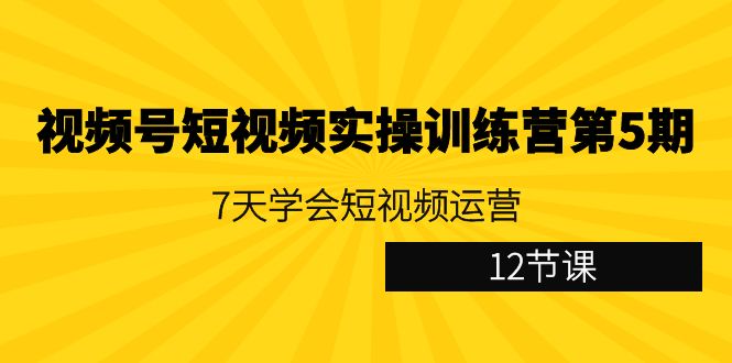 （9029期）视频号短视频实操训练营第5期：7天学会短视频运营（12节课）-云帆学社