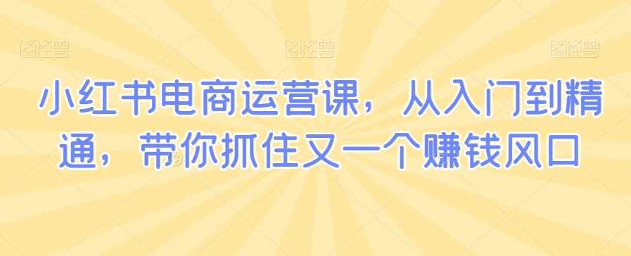 小红书电商运营课，从入门到精通，带你抓住又一个赚钱风口-云帆学社