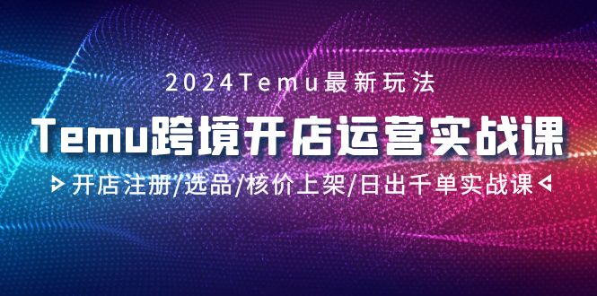 （9208期）2024Temu跨境开店运营实战课，开店注册/选品/核价上架/日出千单实战课-云帆学社