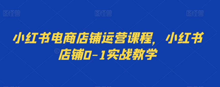 小红书电商店铺运营课程，小红书店铺0-1实战教学-云帆学社