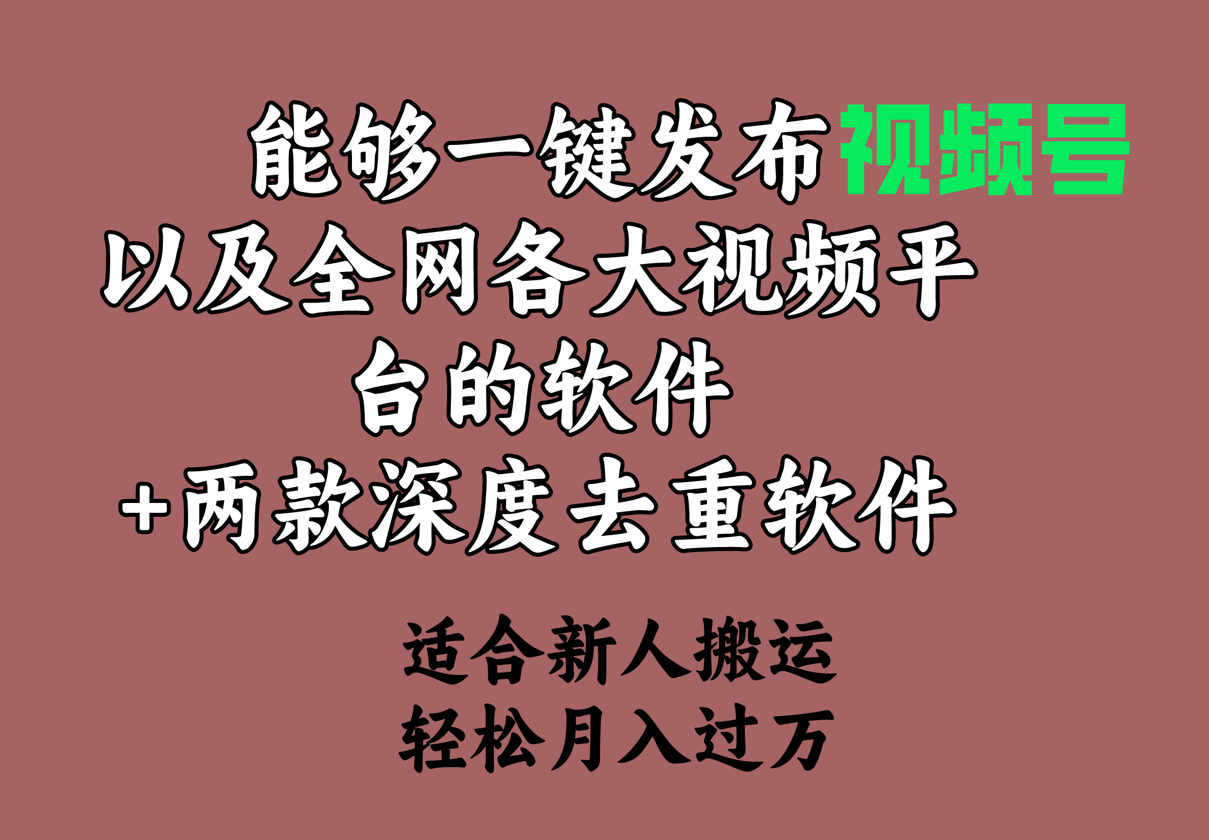 （9319期）能够一键发布视频号以及全网各大视频平台的软件+两款深度去重软件 适合…-云帆学社