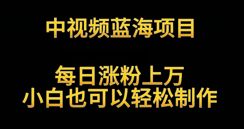 中视频蓝海项目，解读英雄人物生平，每日涨粉上万，小白也可以轻松制作，月入过万不是梦-云帆学社