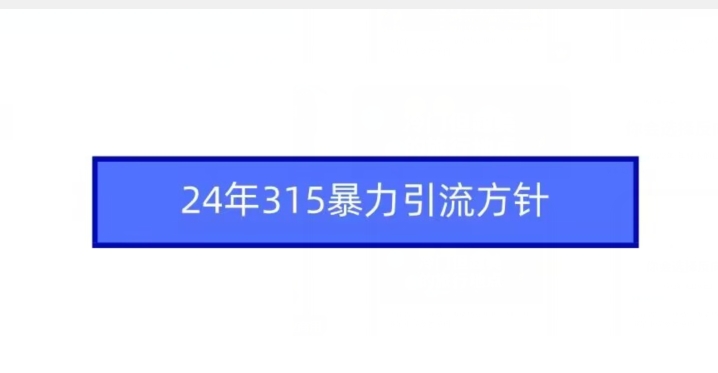 24年315暴力引流方针-云帆学社