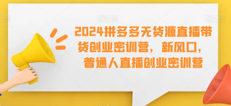 2024拼多多无货源直播带货创业密训营，新风口，普通人直播创业密训营-云帆学社