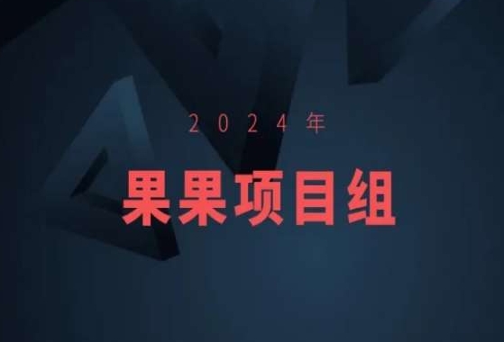 2024年果果项目组项目合集-果果最新项目-云帆学社