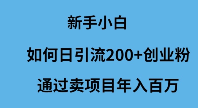 （9668期）新手小白如何日引流200+创业粉通过卖项目年入百万-云帆学社