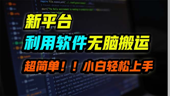 （9745期）新平台用软件无脑搬运，月赚10000+，小白也能轻松上手-云帆学社