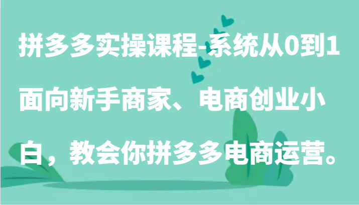 拼多多实操课程-系统从0到1，面向新手商家、电商创业小白，教会你拼多多电商运营。-云帆学社