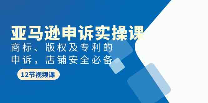 亚马逊申诉实战课，商标、版权及专利的申诉，店铺安全必备-云帆学社