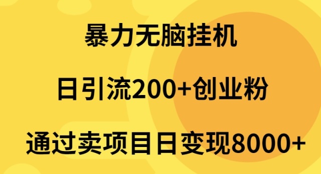 （9788期）暴力无脑挂机日引流200+创业粉通过卖项目日变现2000+-云帆学社