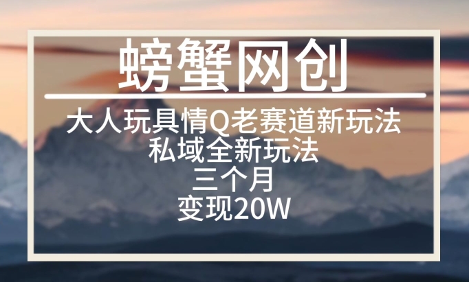 大人玩具情Q用品赛道私域全新玩法，三个月变现20W，老项目新思路-云帆学社