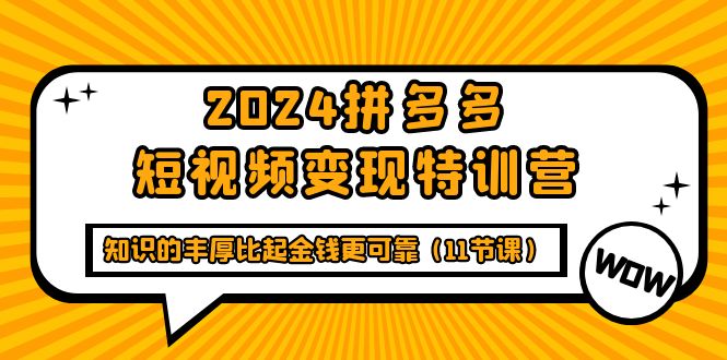 （9817期）2024拼多多短视频变现特训营，知识的丰厚比起金钱更可靠（11节课）-云帆学社