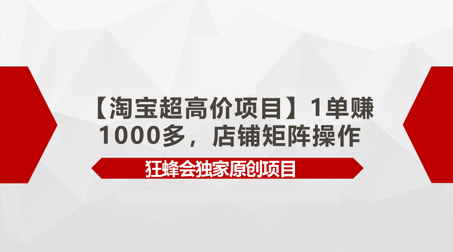 （9849期）【淘宝超高价项目】1单赚1000多，店铺矩阵操作-云帆学社