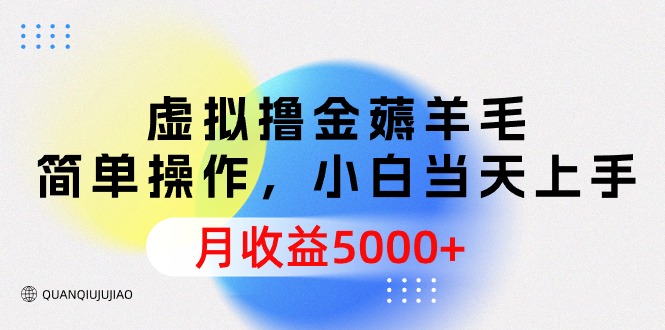 （9864期）虚拟撸金薅羊毛，简单操作，小白当天上手，月收益5000+-云帆学社