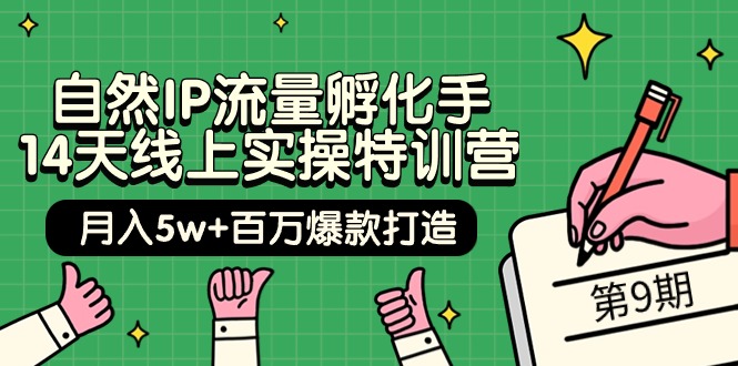 （9881期）自然IP流量孵化手 14天线上实操特训营【第9期】月入5w+百万爆款打造 (74节)-云帆学社