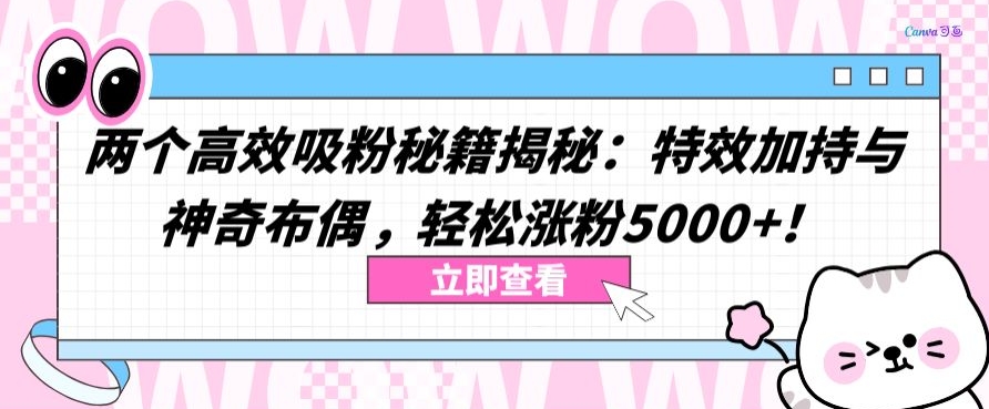 两个高效吸粉秘籍揭秘：特效加持与神奇布偶，轻松涨粉5000+-云帆学社