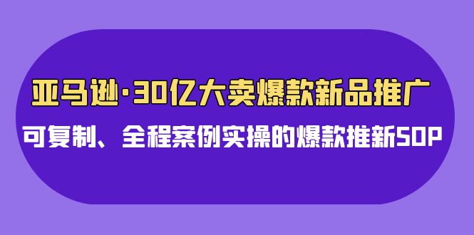 （9944期）亚马逊30亿·大卖爆款新品推广，可复制、全程案例实操的爆款推新SOP-云帆学社