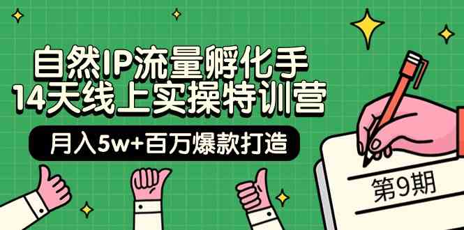 自然IP流量孵化手14天线上实操特训营【第9期】月入5w+百万爆款打造 (74节)-云帆学社