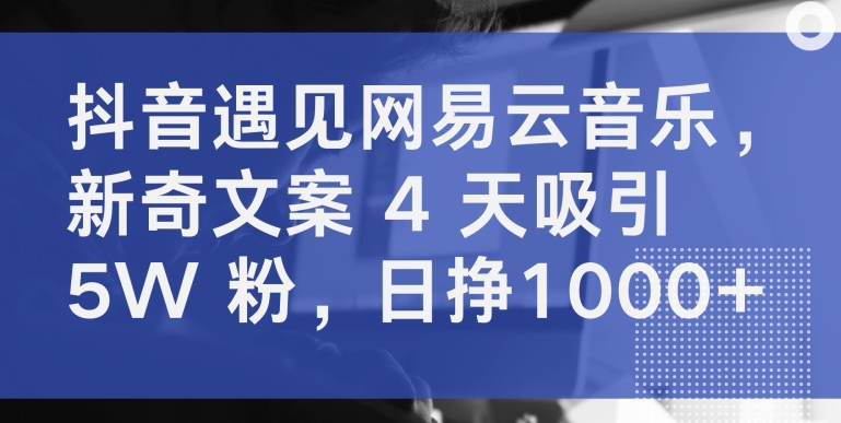 抖音遇见网易云音乐，新奇文案 4 天吸引 5W 粉，日挣1000+-云帆学社