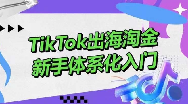 TikTok出海淘金，新手体系化入门，零基础快速入门，掌握短视频、直播带货等引流到变现的知识-云帆学社