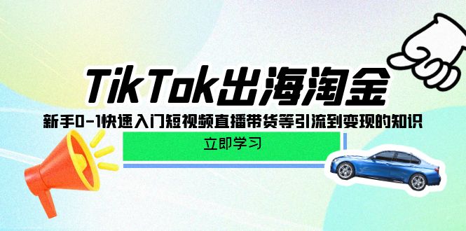 （10035期）TikTok-出海淘金，新手0-1快速入门短视频直播带货等引流到变现的知识-云帆学社