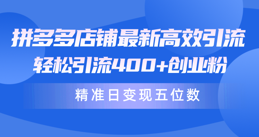 （10041期）拼多多店铺最新高效引流术，轻松引流400+创业粉，精准日变现五位数！-云帆学社