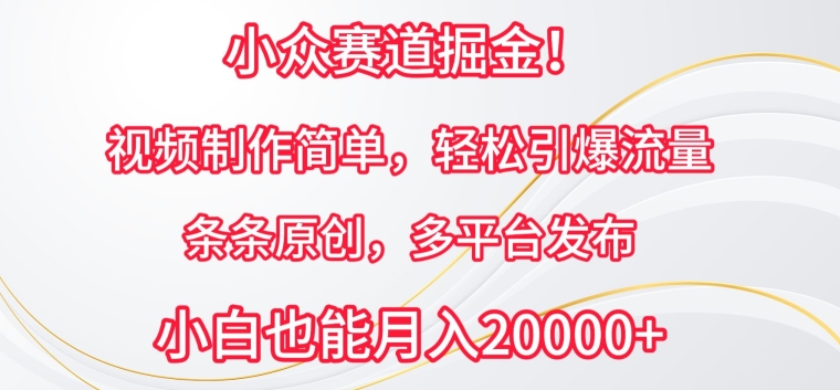 小众赛道掘金，视频制作简单，轻松引爆流量，条条原创，多平台发布-云帆学社