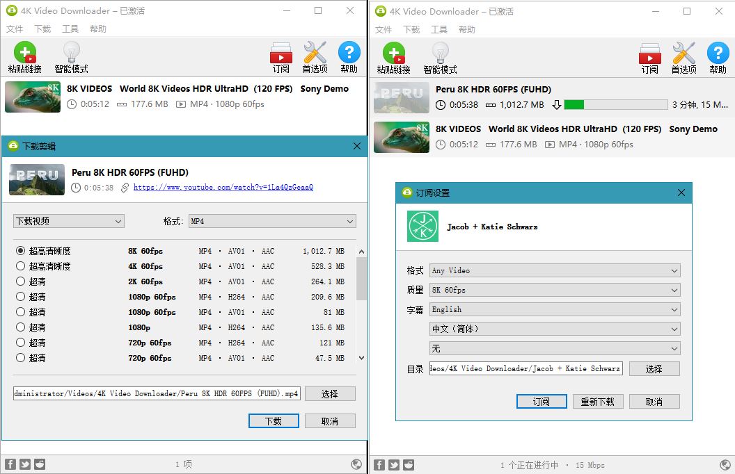 4K Video Downloader v4.30.0.5651-云帆学社