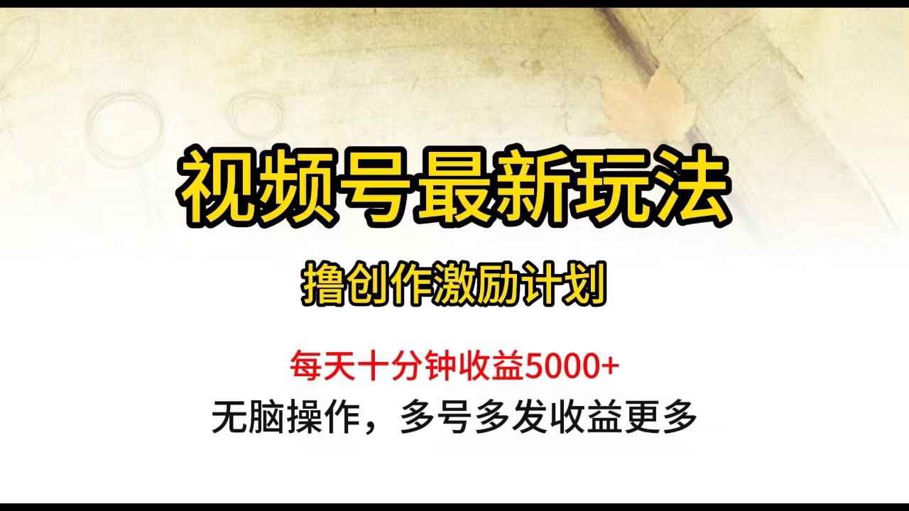 （10087期）视频号最新玩法，每日一小时月入5000+-云帆学社